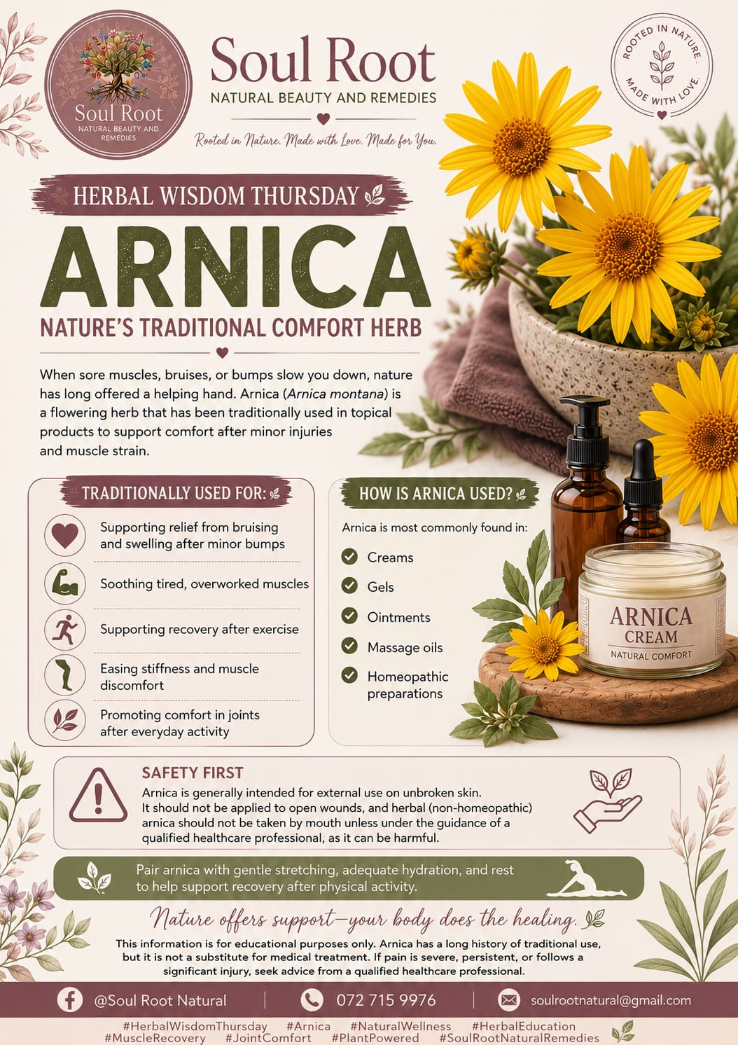 Arnica herbal information sheet listing Arnica Flower