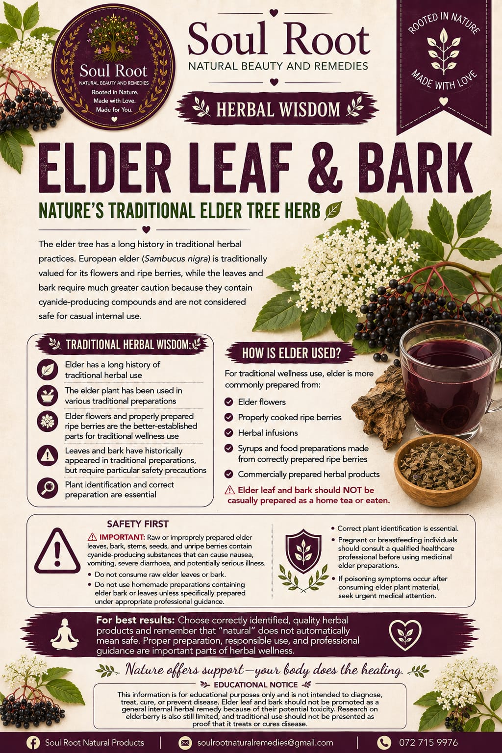 Elder Leaf & Bark herbal information sheet listing Elder Leaf, Elder Bark