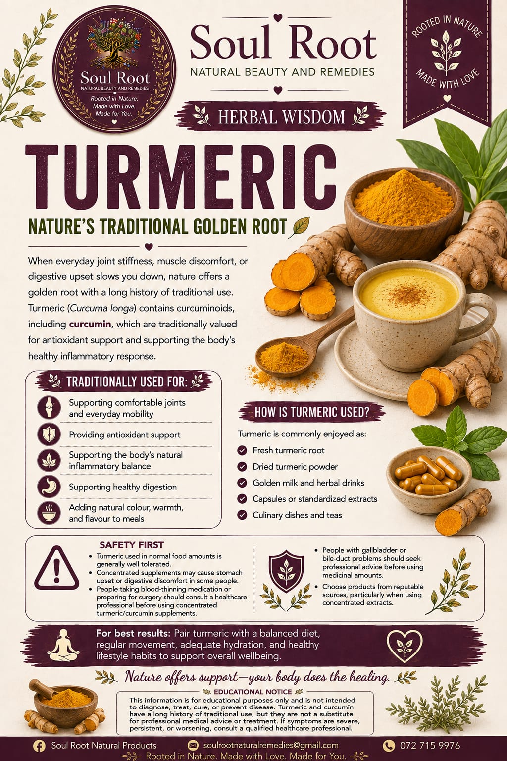 Turmeric herbal information sheet listing Turmeric Root
