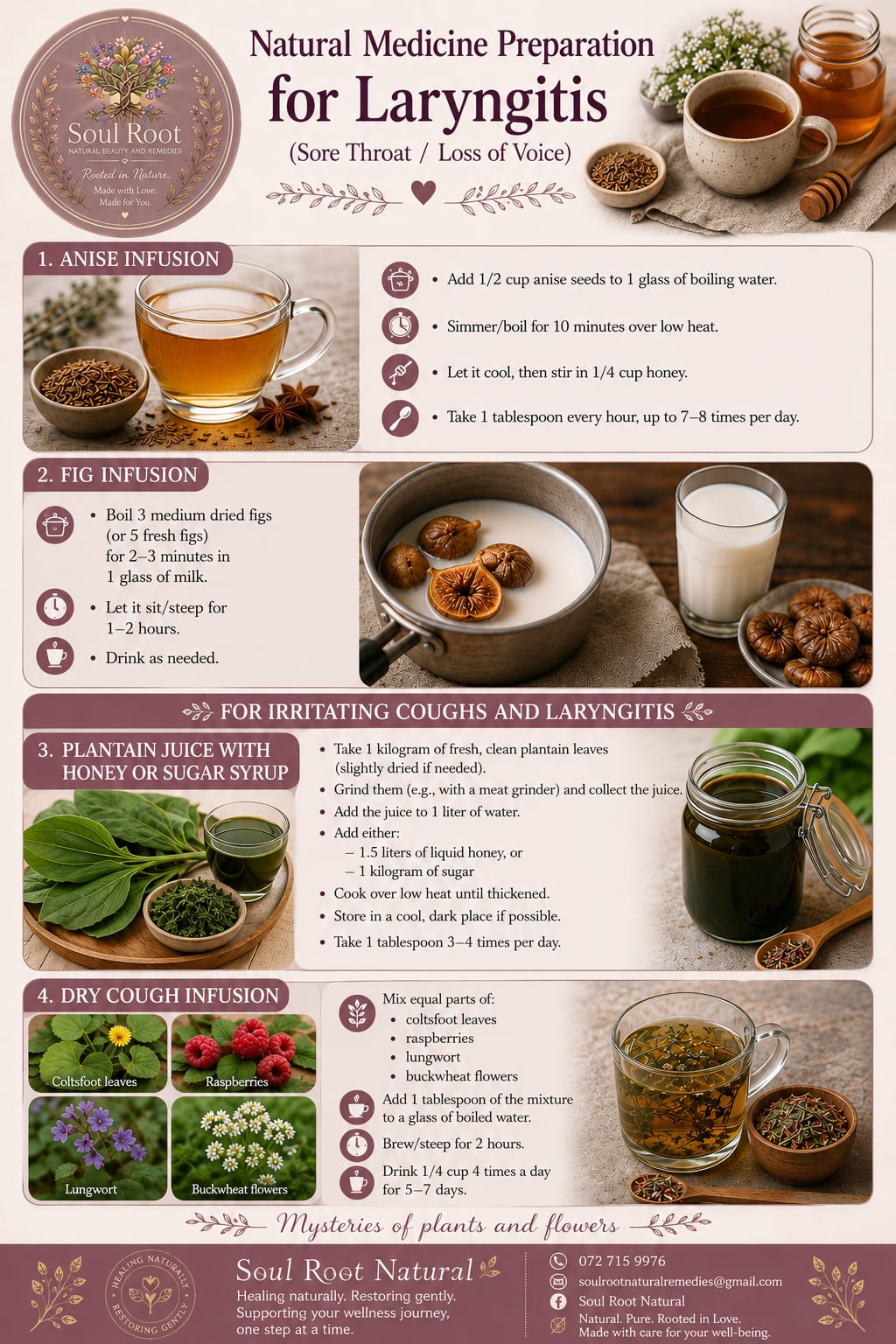 Natural Preparation for Laryngitis herbal information sheet listing Anise, Fig, Plantain