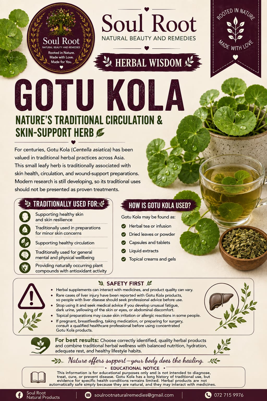 Gotu Kola herbal information sheet listing Gotu Kola