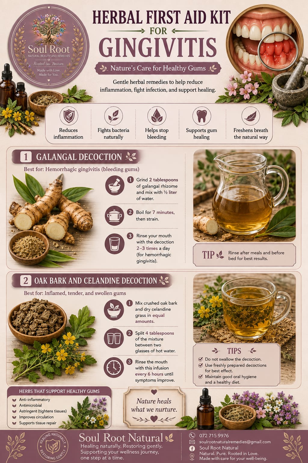 Herbal First Aid Kit for Gingivitis herbal information sheet listing Galangal, Oak Bark, Celandine