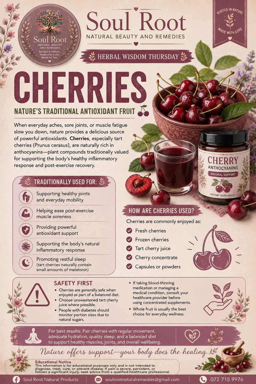 Cherries herbal information sheet listing Tart Cherry
