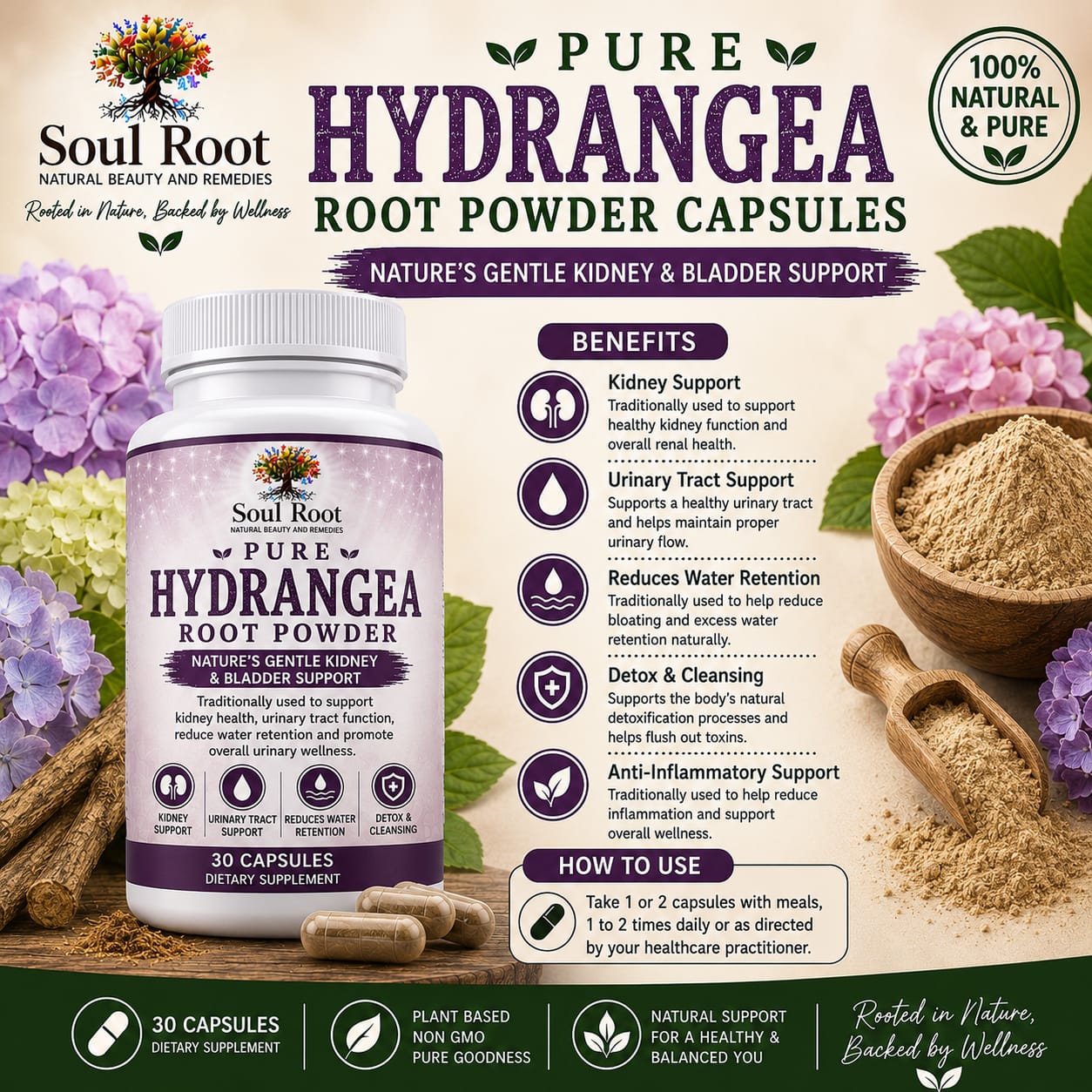 Pure Hydrangea Root Powder herbal information sheet listing Hydrangea Root