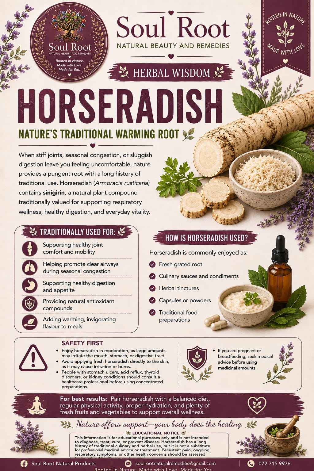 Horseradish herbal information sheet listing Horseradish Root