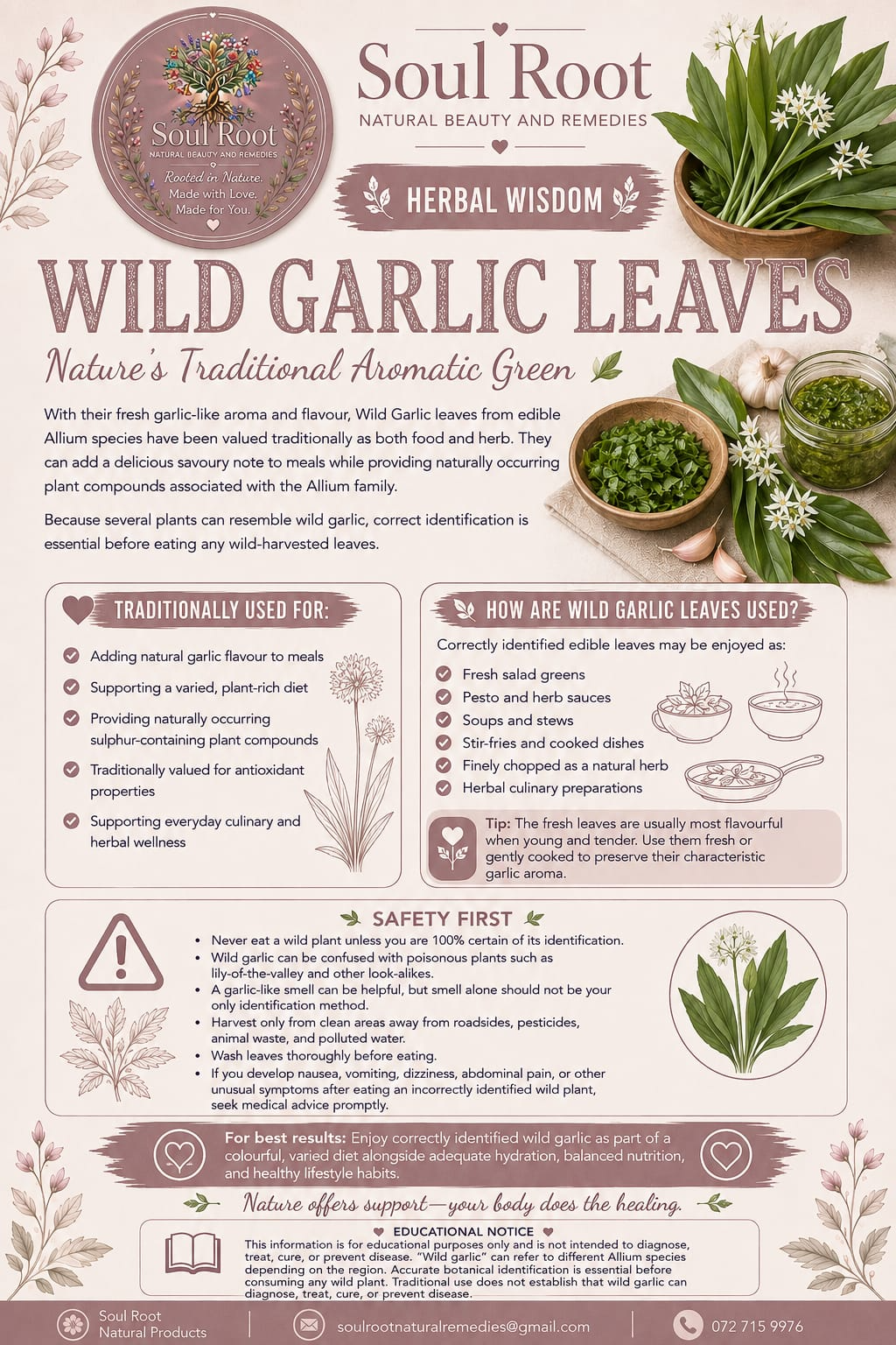Wild Garlic Leaves herbal information sheet listing Wild Garlic Leaf