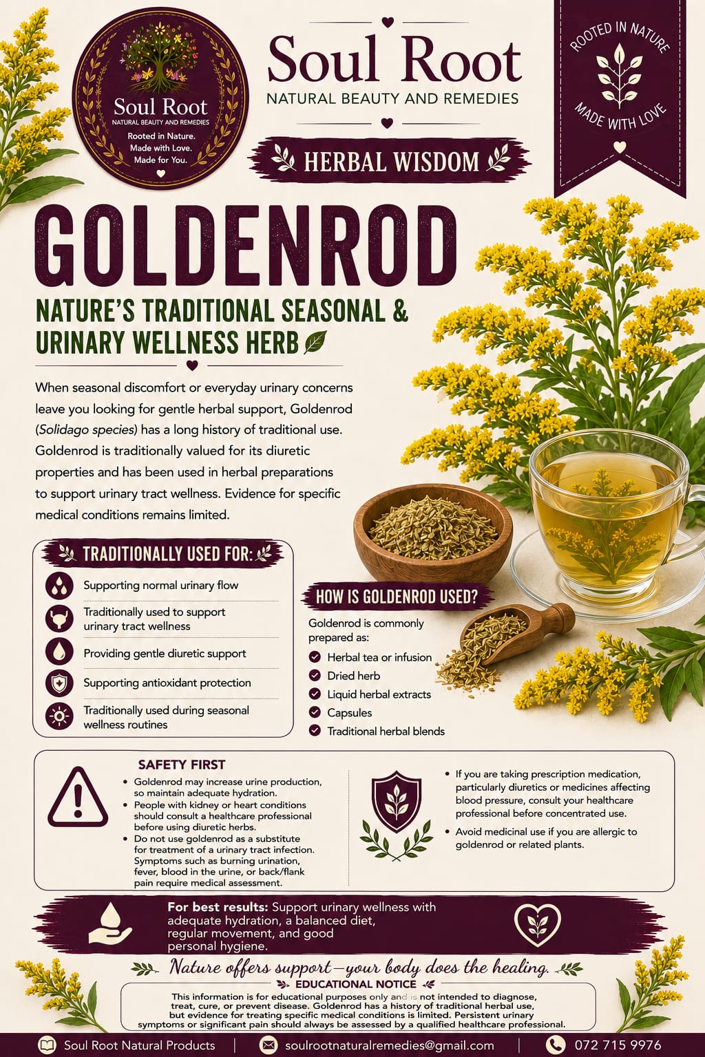 Goldenrod herbal information sheet listing Goldenrod