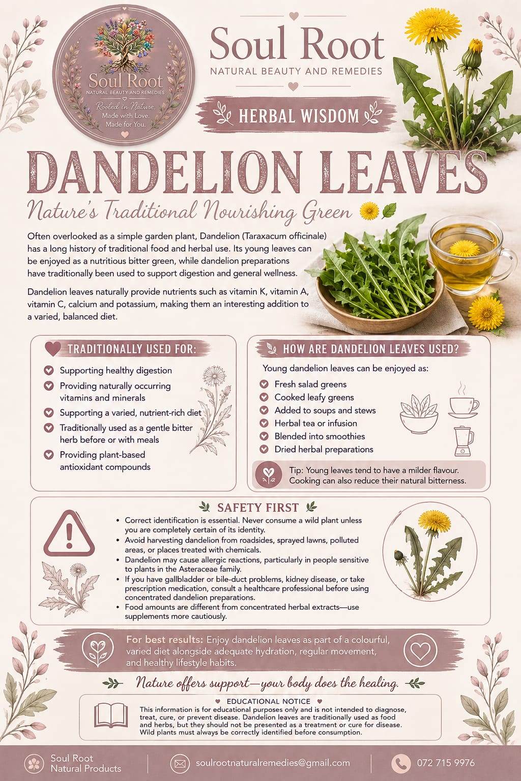 Dandelion Leaves herbal information sheet listing Dandelion Leaf