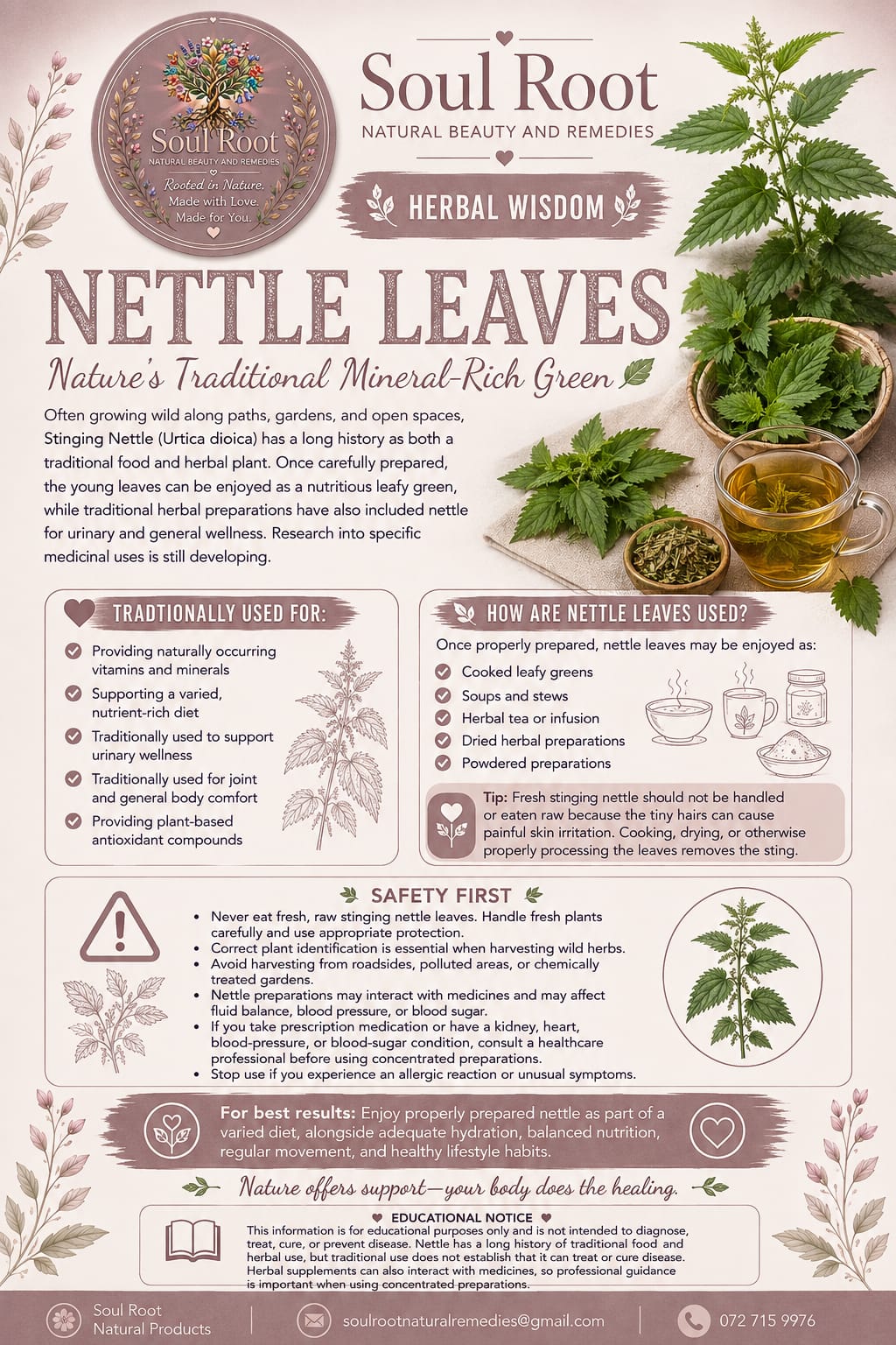 Nettle Leaves herbal information sheet listing Stinging Nettle Leaf
