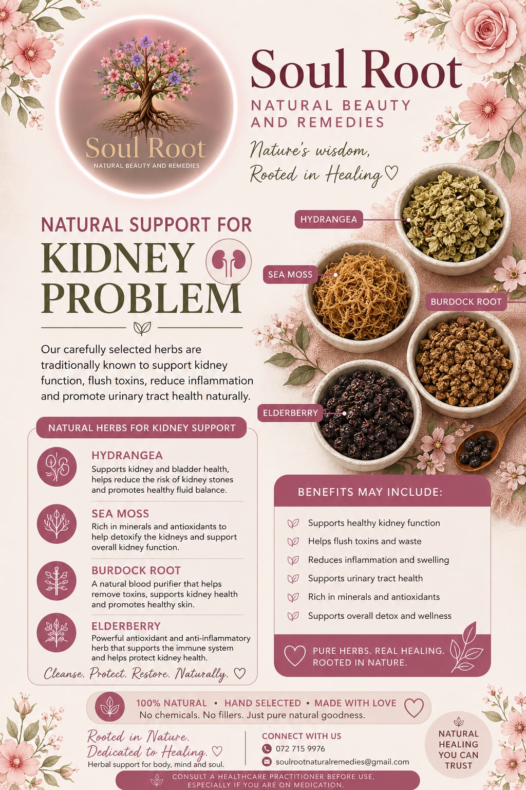 Kidney Support herbal information sheet listing Hydrangea, Sea Moss, Burdock Root, Elderberry