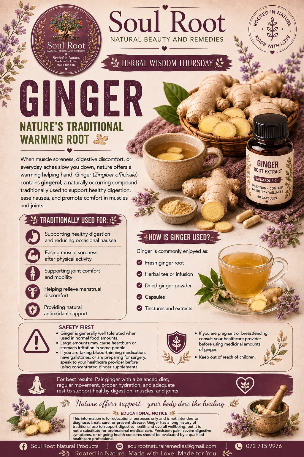 Ginger herbal information sheet listing Ginger Root