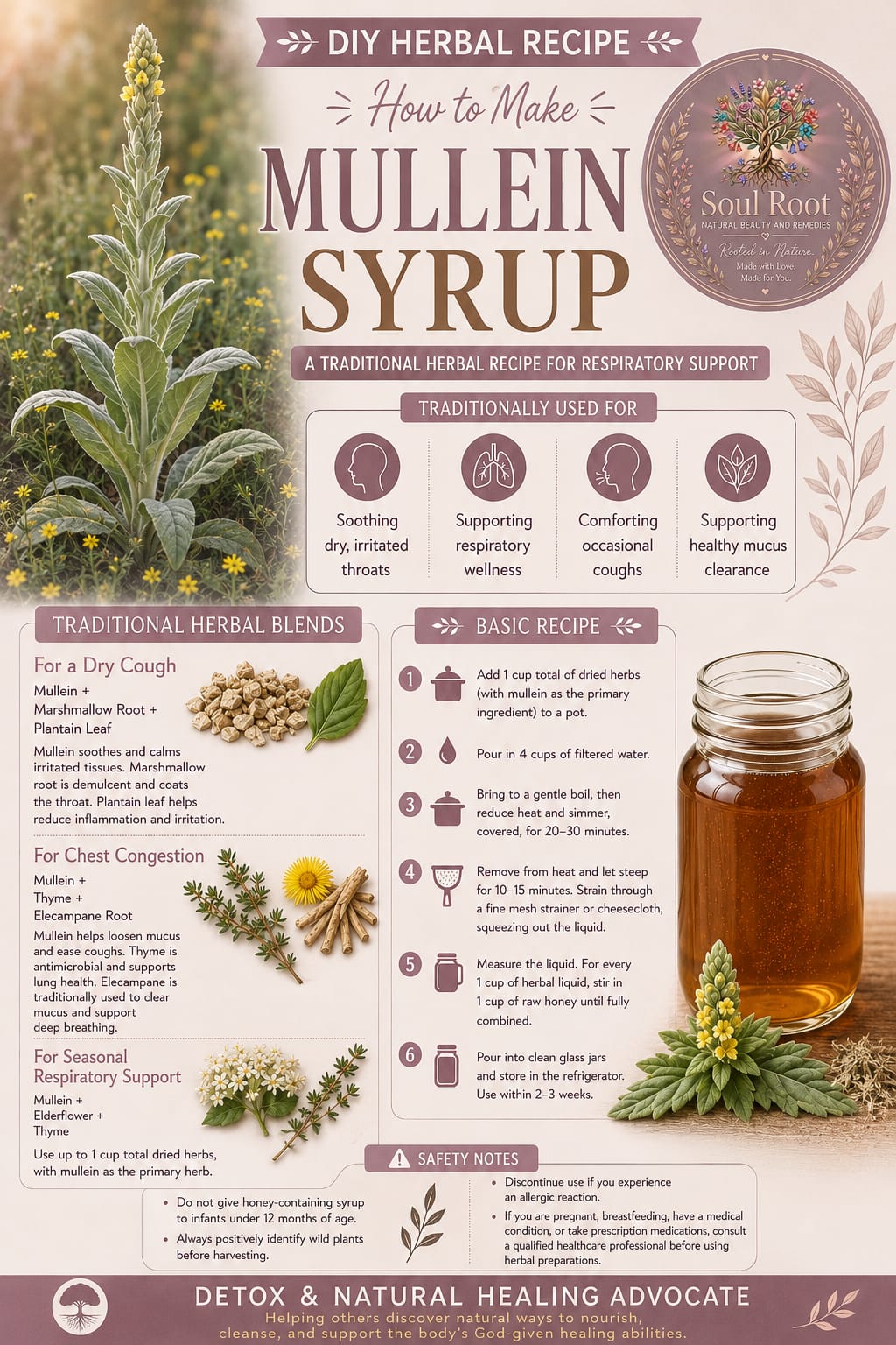 How to Make Mullein Syrup herbal information sheet listing Mullein, Marshmallow Root, Thyme