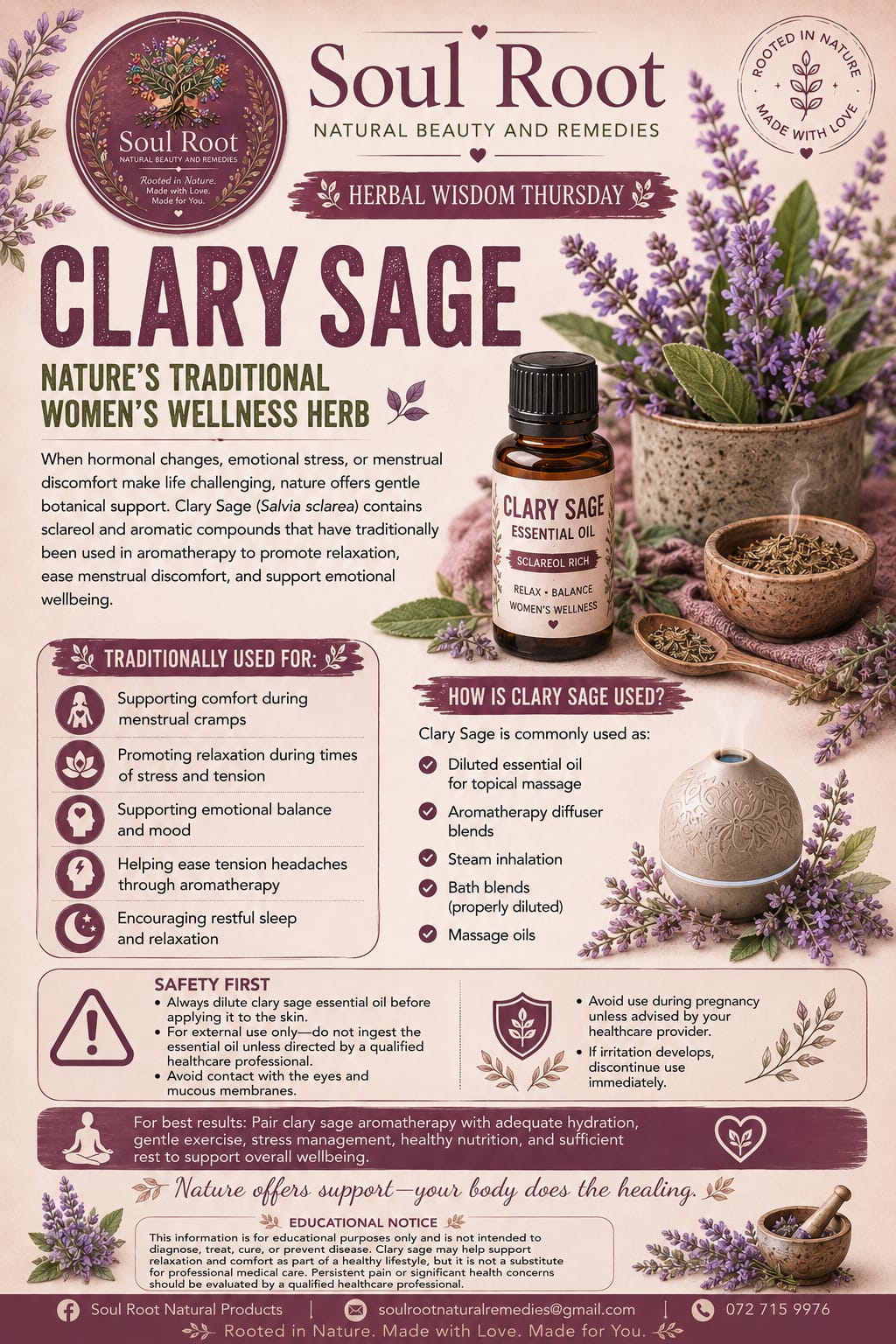 Clary Sage herbal information sheet listing Clary Sage